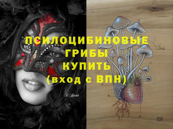 МДПВ Белокуриха