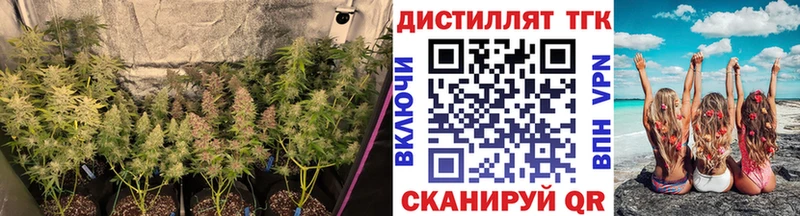 ТГК гашишное масло  Урюпинск 